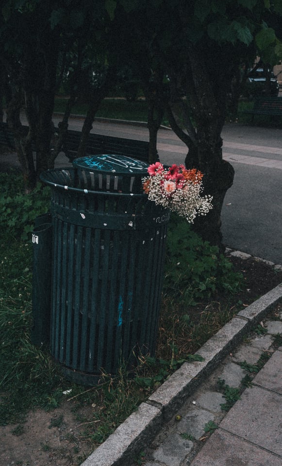 Wildflowers left behind in a park trash can at dusk